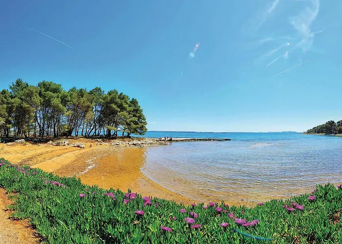 Appartement 1 Bedroom Beautiful In